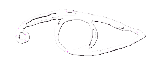 TundraVisuals Logo